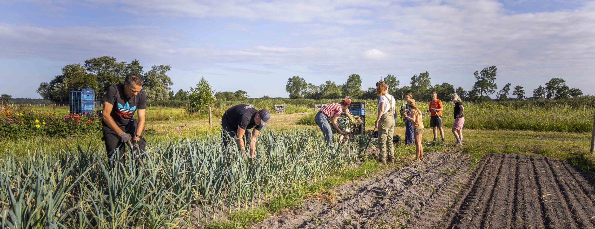 Herenboeren is een coöperatief landbouwmodel waarbij groepen burgers samen een boerderij oprichten en een boer in dienst nemen om voedsel voor te verbouwen. Door samen een boerderij te beheren, weten ze precies waar hun eten vandaan komt. Dit zorgt voor een eerlijke, lokale en duurzame manier van landbouw.