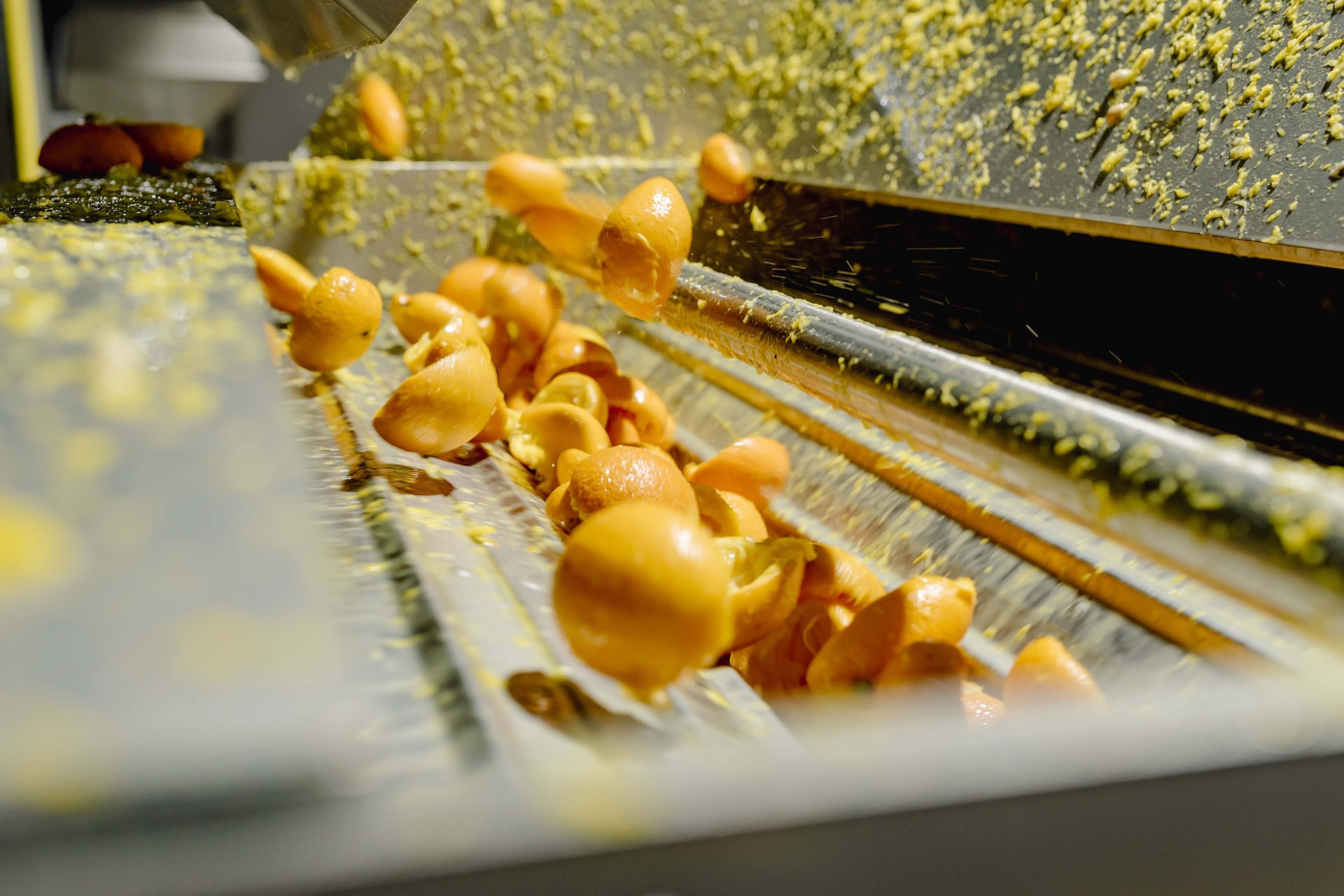 PeelPioneers biedt een 100% circulaire oplossing voor sinaasappelschillen die overblijven na het maken van vers sap. Zij verwerken de schillen die anders verbrand zouden worden als afval, tot functionele ingrediënten voor bijvoorbeeld de levensmiddelenindustrie.