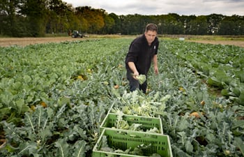 De Werkmakers