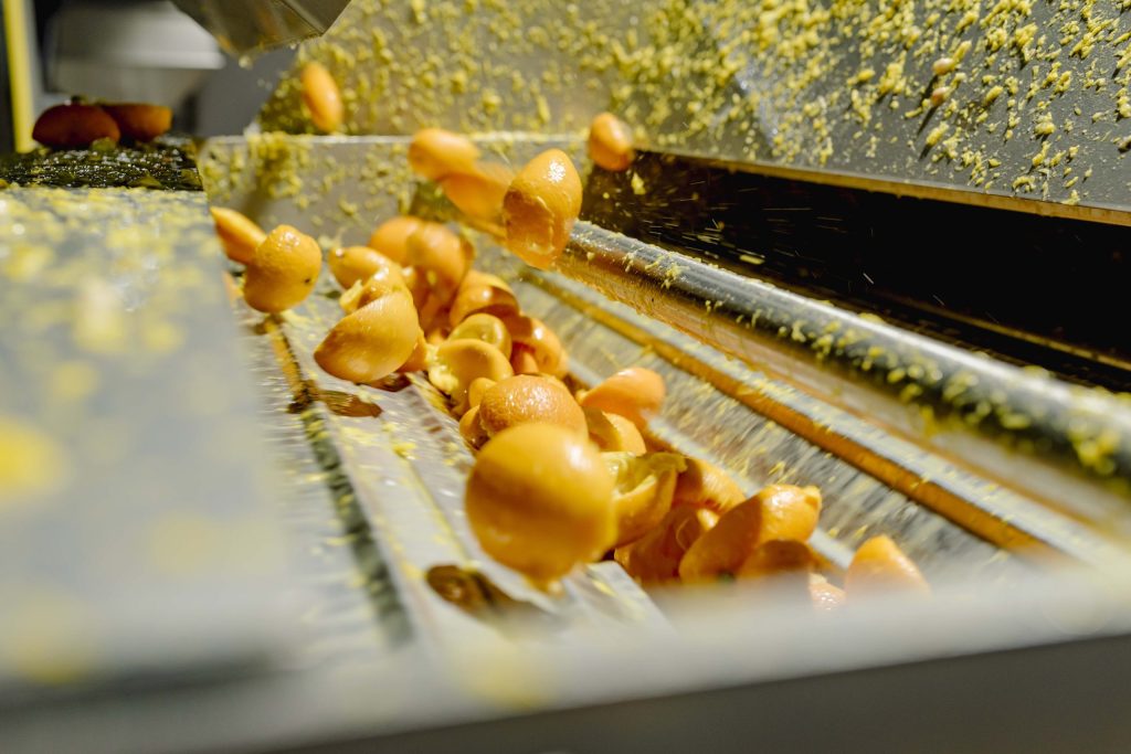 PeelPioneers offers a 100% circular solution for orange juice production waste. The company processes peel that would otherwise be incinerated into functional ingredients for industrial use.