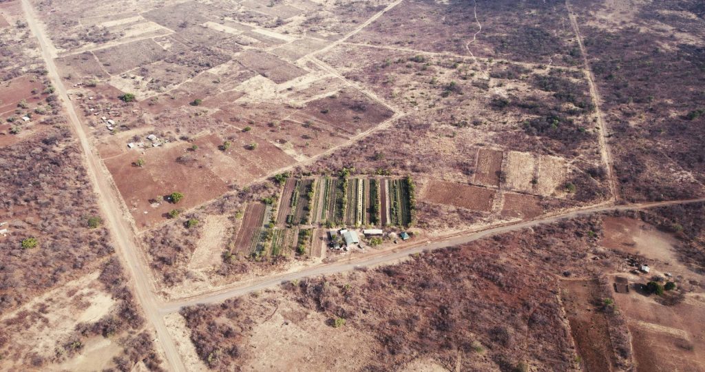 The Grounded Investment Company improves food production by encouraging sustainable agricultural practices, enhancing soil quality and boosting farmers’ incomes.