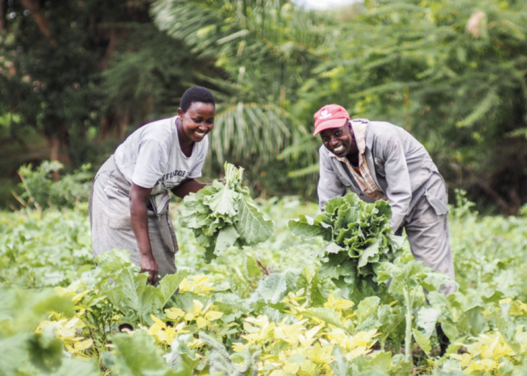 Agroecology Fund