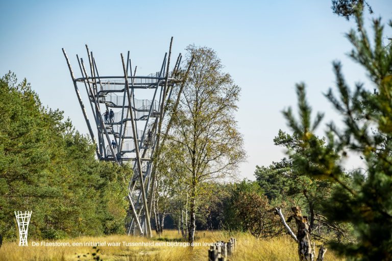 Tussenheid Hilvarenbeek