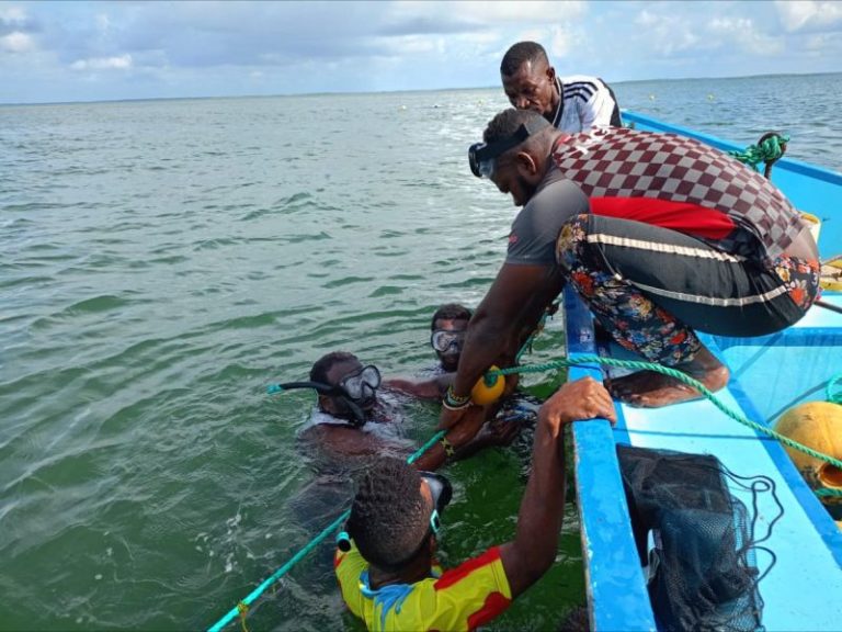Mawimbi Ocean Innovations