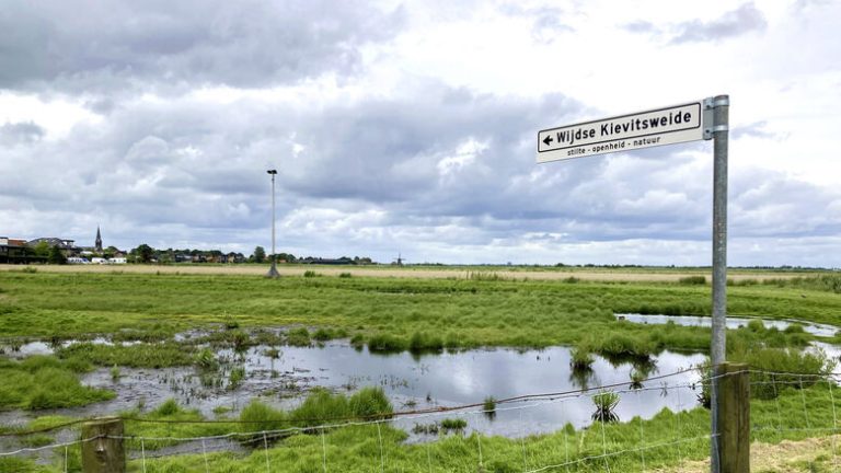 Rechten van de Natuur