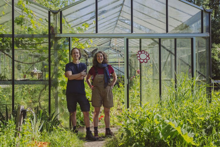Transfarmers