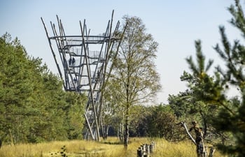 Hilvarenbeek Smart Village