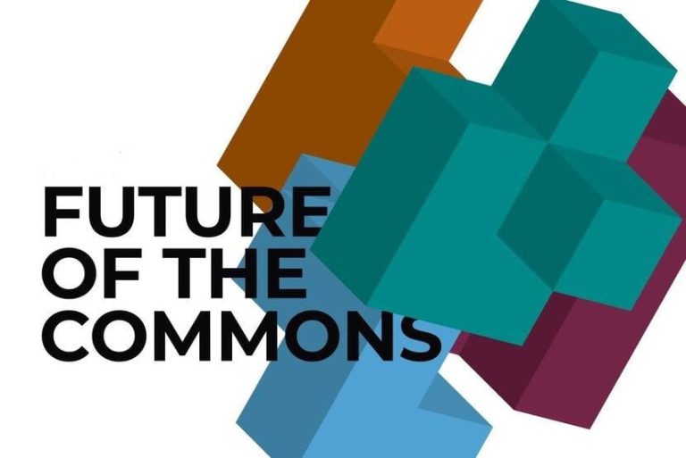 Constitutie voor de Commons