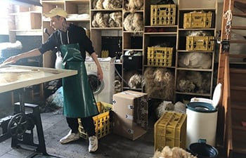 Stichting Matties
