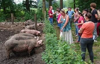 Alliantie de Plaatsen – Versneld naar een ander voedselsysteem