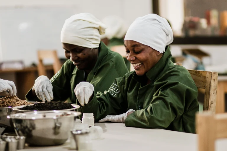 Tanzania Regenerative Tea & Botanicals Initiative
