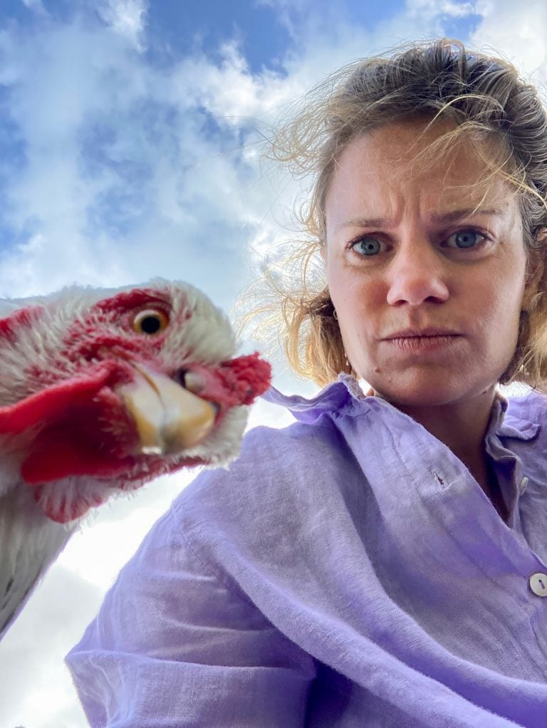 Chicks in Dialogue