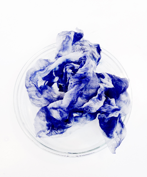 Living Colour – Art & Design for Biobased Materials