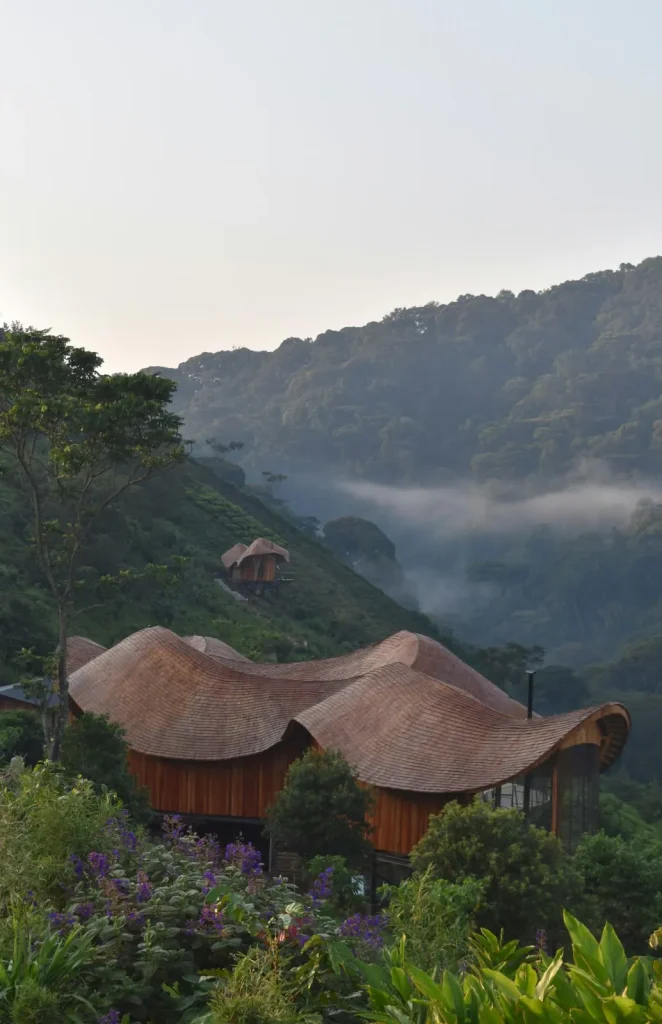 Bwindi lodge project completed in 2026 Studio Akeka