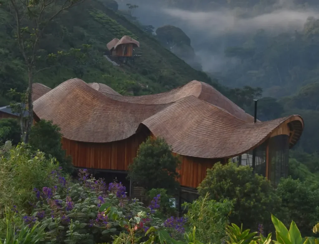 Bwindi lodge project opgeleverd in 2026 door Studio Akeka